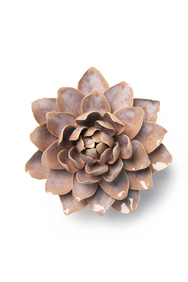 Hiekanvaaleanpunainen lumme-posliinikukka Chive, ⌀14 x 5,7 cm – tuotekuva