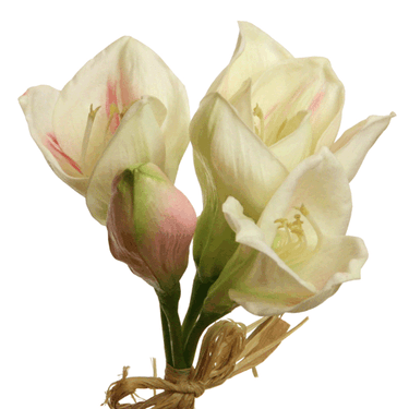 Amaryllis-kimppu | 'Soft touch' kestokukka-Floratexx-Sasu’s sisustus- ja huonekaluliike