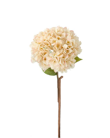 Aprikoosin sävyinen hortensia-kestokukka | ⌀20 x 84cm-Alot-Sasu’s sisustus- ja huonekaluliike