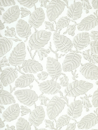 Beech Nut Warm Grey | non-woven tapetti | National Trust Papers II