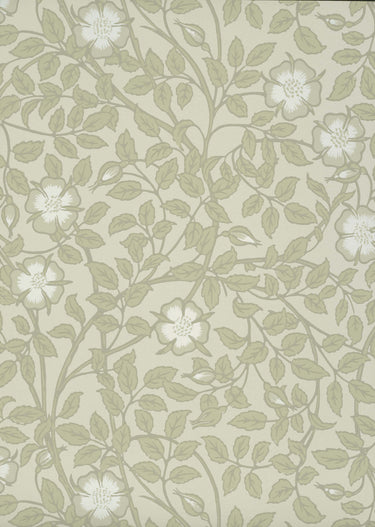 Briar Rose Green Stone | non-woven tapetti | National Trust Papers III
