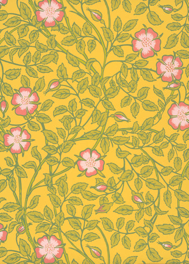 Briar Rose Indian Yellow | non-woven tapetti | National Trust Papers III