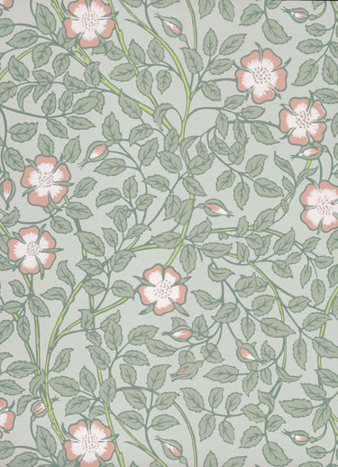 Briar Rose Salix | non-woven tapetti | National Trust Papers III
