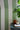 Broad Stripe Pea Green | non-woven tapetti | Storybook Papers