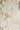 Brodsworth Consort | non-woven tapetti | London Wallpapers V