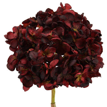 Burgundinpunainen hortensia-kestokukka | ⌀16 x 60 cm – Floratexx