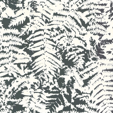 Fern Off Black | non-woven tapetti | 20th Century Papers-Little Greene-Sasu’s sisustus- ja huonekaluliike