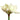 Kermanvalkoinen amaryllis-kestokukka | 58 cm | Super touch – Floratexx