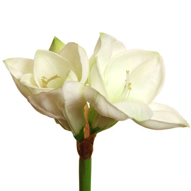 Kermanvalkoinen amaryllis-kestokukka | 58 cm | Super touch – Floratexx
