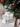 Ribbon w. Merry Christmas L5 m/W1.5 cm cream