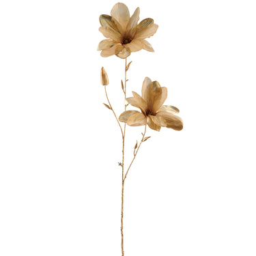 Kullanvärinen magnolia | ⌀17 x 86cm-GASPER GmbH-Sasu’s sisustus- ja huonekaluliike