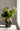 Blomma Sammet Guld Clip | 21x6cm