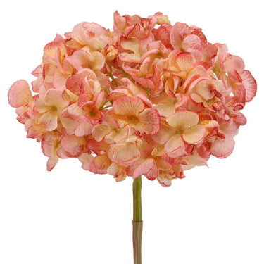 Lohenpunainen hortensia kestokukka | ⌀16 x 60 cm-Floratexx-Sasu’s sisustus- ja huonekaluliike