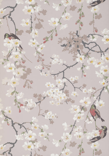 Massingberd Blossom Grey | non-woven tapetti | National Trust Papers II