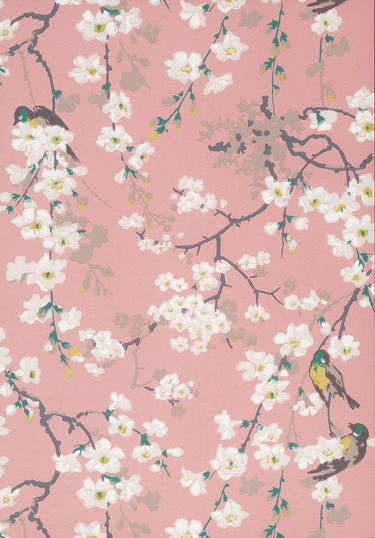 Massingberd Blossom Oriental | non-woven tapetti | National Trust Papers II