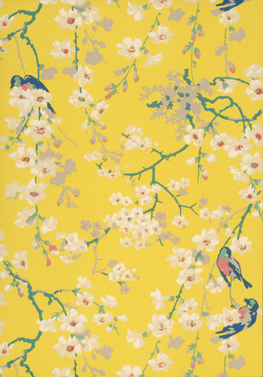Massingberd Blossom Yellow | non-woven tapetti | National Trust Papers II