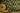 Moon Daisies Olive Colour | non-woven tapetti | In the Garden
