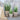 French Basket w. plastic liner set of 3 H32/L40/W40 cm nature