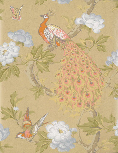 Pavona Gina | non-woven tapetti | National Trust Papers