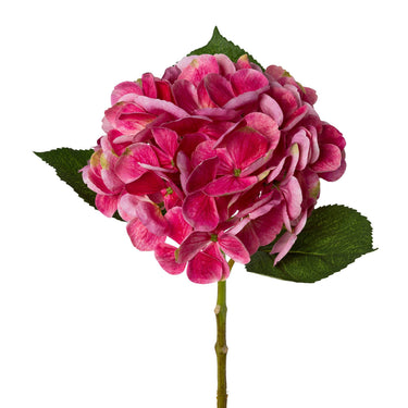Pinkki hortensia kestokukka | ⌀16 x 48 cm-GASPER GmbH-Sasu’s sisustus- ja huonekaluliike