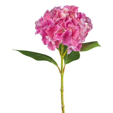 Pinkki hortensia kestokukka | ⌀18 x 66 cm-GASPER GmbH-Sasu’s sisustus- ja huonekaluliike