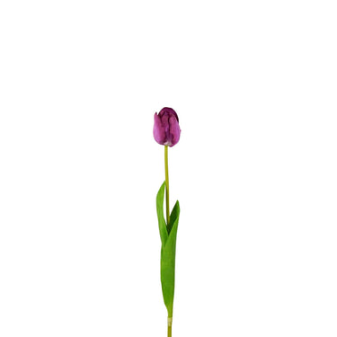 Pinkki tulppaani-kestokukka | ⌀5 x 50 cm-Wildflowers by Floriette-Sasu’s sisustus- ja huonekaluliike