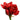 Punainen amaryllis | 'Soft touch' kestokukka-Floratexx-Sasu’s sisustus- ja huonekaluliike