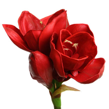 Punainen amaryllis | 'Soft touch' kestokukka-Floratexx-Sasu’s sisustus- ja huonekaluliike