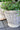 French Basket w. plastic liner set of 3 H33/D42 cm nature