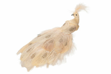 Riikinkukko nude | 30cm | Diva