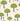 Rodney Street Sage & Onions | non-woven tapetti | Storybook Papers