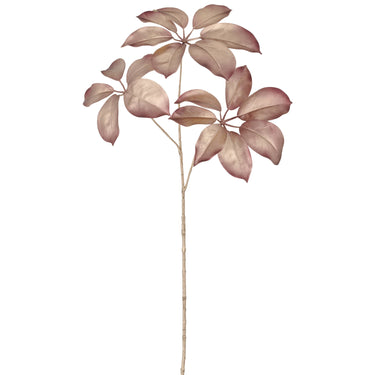 Ruusukullan sävyinen koristeoksa | 74cm | Siroliuska-aralia-GASPER GmbH-Sasu’s sisustus- ja huonekaluliike