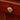 Abby Shell Knob
