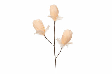 Aprikoosinvärinen tulppaaninmallinen koristeoksa | Sulka | K85cm