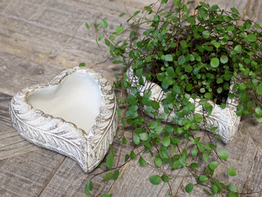 Vittel Planter heart w. golden pattern H6.5/L17.5/W15 cm cream