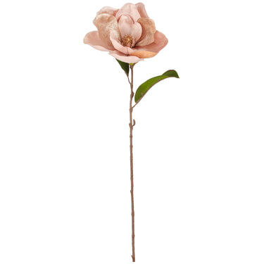 Vaaleanpunainen magnolia | 76 cm-GASPER GmbH-Sasu’s sisustus- ja huonekaluliike