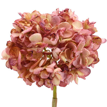 Vaaleanpunasävyinen hortensia kestokukka | 60 cm-Floratexx-Sasu’s sisustus- ja huonekaluliike