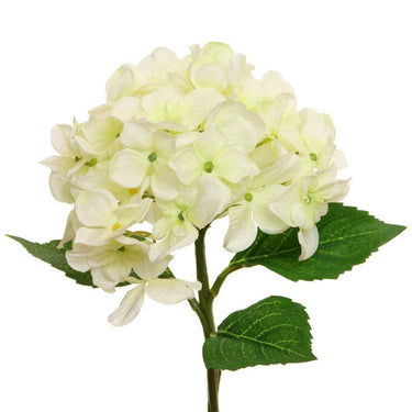 Valkoinen hortensia kestokukka | ⌀15 x 32 cm-Floratexx-Sasu’s sisustus- ja huonekaluliike
