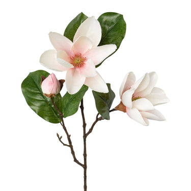 Valkoinen magnolian oksa | 68cm-GASPER GmbH-Sasu’s sisustus- ja huonekaluliike