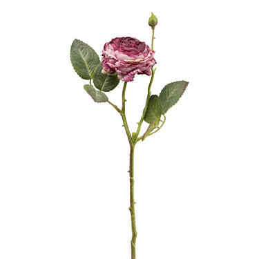 Vanhan roosan sävyinen ruusu | ⌀7 x 45 cm-GASPER GmbH-Sasu’s sisustus- ja huonekaluliike