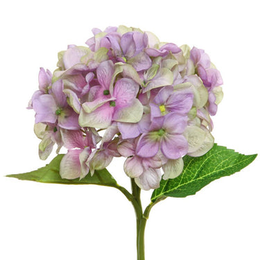 Violetti-vihertäväsävyinen hortensia kestokukka | ⌀15 x 32 cm-Floratexx-Sasu’s sisustus- ja huonekaluliike
