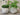 Vittel Planter w. golden pattern H13/D15.5 cm cream