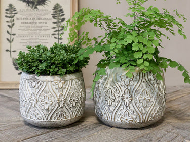 Vittel Planter w. golden pattern H13/D15.5 cm cream