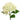 Valkoinen hortensia kestokukka | ⌀15 x 32 cm