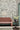 Belton Scenic Oyster | non-woven tapetti | National Trust Papers