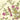 Darwin Jeune | non-woven tapetti | Archive Trails