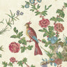 Darwin Provence | non-woven tapetti | Archive Trails