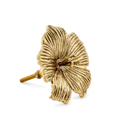 Hailey Hibiscus Knob