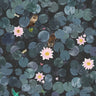 Lily Pads Hicks' Blue | non-woven tapetti | In the Garden