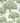 Magnolia Blossom Hopper | non-woven tapetti | In the Garden